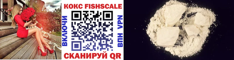 купить наркоту  Сорочинск  COCAIN Fish Scale 