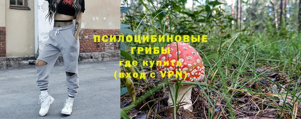 соль ск Алексин
