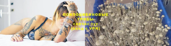 соль ск Алексин
