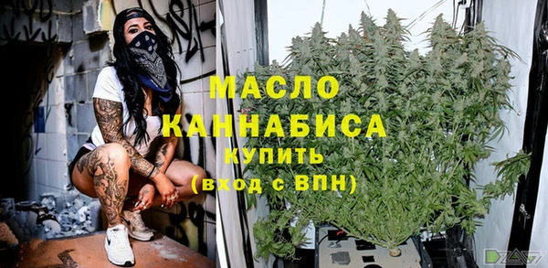 скорость Ельня