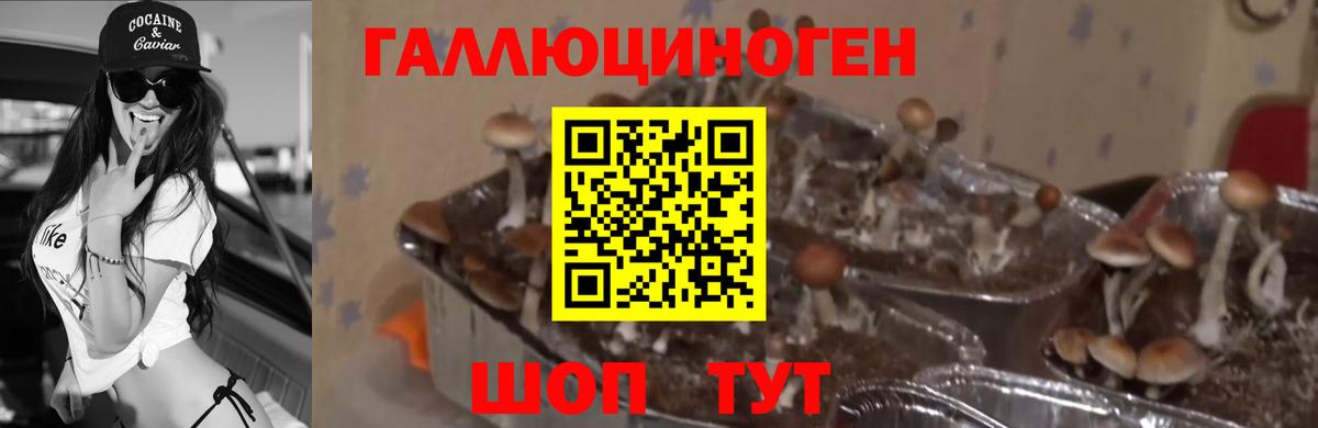 Галлюциногенные грибы Magic Shrooms Сорочинск